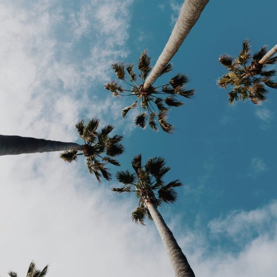wil-stewart-K_TbABnVzHo-unsplash-scaled-1